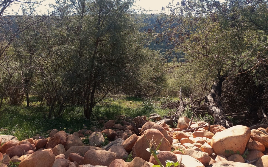 Commercial Property for Sale in George Rural Western Cape
